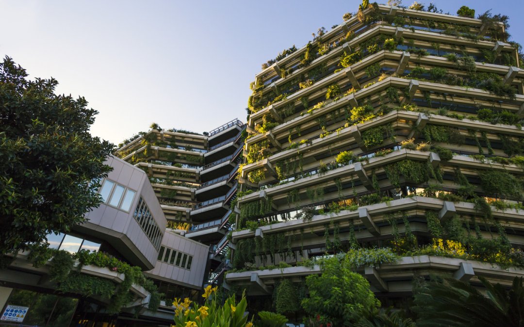 What’s an FMs Role in Carbon Reporting?